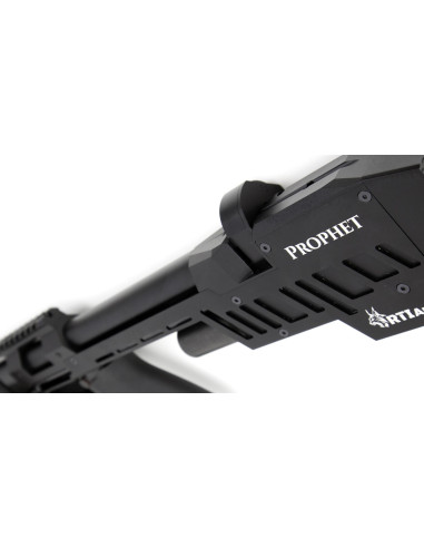 Carabine à plomb Prophet PCP .22 Noir RTI Arms Plomb