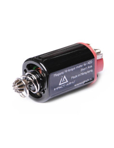 Moteur Hi-Torque Maganic axe court pour AEG Impact Arms Moteurs charbon