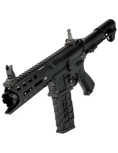 Fusil d'assaut CM16 ARP556 AEG ETU NOIR G&G AEG / AEP