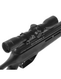 Carabine Elite Mag Fire Mission NP 4,5 mm .177 + lunette 4x32 vue 6